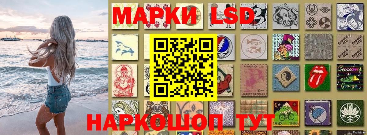 где можно купить   Марки NBOMe 1,8мг  Домодедово  Вход с VPN  Марки NBOMe 1,8мг 