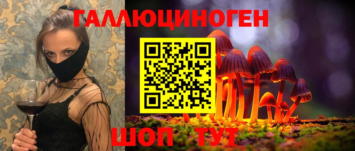 Галлюциногенные грибы Psilocybine cubensis Домодедово